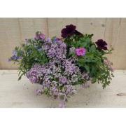 Zinken bak zomerbloeiers roze/paars dia. 30 cm