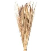 Clayre & Eef Droogbloemen  80 cm Beige Droogbloemen Droogboeket