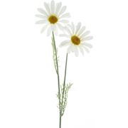 Daisy Cordoba spray white 56 cm kunstbloem
