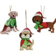 Hond ijzr l10.3b0.5h12.5 cm multi a3