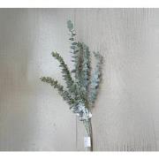 Eucalyptus tak groen 78 cm