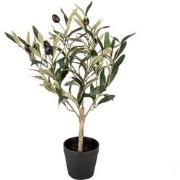 Clayre & Eef Kunst Olijfboom 50 cm Groen Kunststof