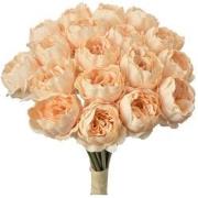 Clayre & Eef Kunstbloem 30 cm Beige Kunststof
