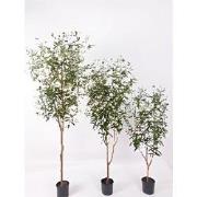 Olijfboom 150 cm kunstplant Oosterik Home