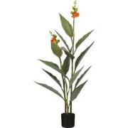 Mica Decorations Kunstplant Canna - 46x46x115 cm - Polyethyleen - Oran...