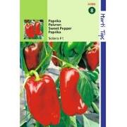 2 stuks - Paprika Reina F1