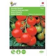 2 stuks - Tomaten Maja Balkontomaat