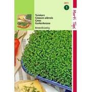 2 stuks - Tuinkers Grootbladige Breedbladige