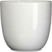 5 stuks - Bloempot Pot rond es/7 tusca 7.5 x 8.5 cm wit Mica