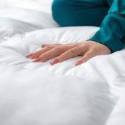 Lanotte® - Dekbed 15%/85% Dons-Veren - 140x200 cm