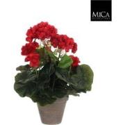 6 stuks! Geranium rood in pot stan grijs d11,5 cm h34xd20 cm Mica Deco...