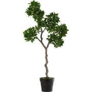 J-Line - Chinese Vijg Ficus Boom In Pot Plastiek Groen/zwart Large - 4...