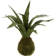 J-Line - Vrouwentongen Bol Aarde Plastiek Groen - 32x30x35cm