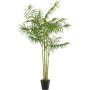 J-Line - Bamboepalm In Pot Plastiek Groen/zwart Large - 120x120x175cm