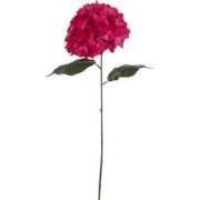 J-Line - Hydrangea Sproeier Kunststof Roze - 74x18x13cm