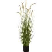 J-Line - Grassen+staarten In Pot Plastiek Groen Medium - 35x35x120cm
