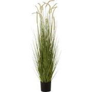 J-Line - Grassen+staarten In Pot Plastiek Groen Large - 25x25x151cm