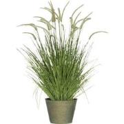 J-Line - Grassen+staarten In Pot Metaal Groen Plastiek Groen Large - 6...