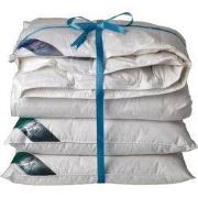 Ten Cate 60% Eendendonzen 4 seizoenen dekbed 240x220 + 2 eendenveren h...