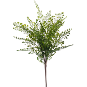 Fern adianthum bush 40 cm green