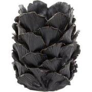 Windlicht Tapanui - Zwart Hout - Ø14cm