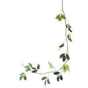 PTMD Kunstplant Jade - 260x43x280 cm - Polyester - Groen