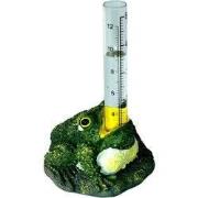 Regenmeter kikker van hars