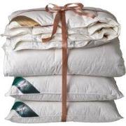 Ten Cate 90% Ganzendonzen 4 seizoenen dekbed 200x220 + 2 eendenveren h...