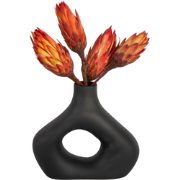 Droogbloemen - Set van 5 - Boeket 'Protea Pendula Red' - Droogbloemen