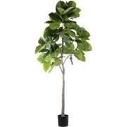 PTMD Kunstplant Ficus - 118x85x183 cm - Polyester - Groen