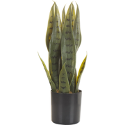 SNAKE PLANT - Kunstplant - Groen - 40 cm - Synthetisch materiaal