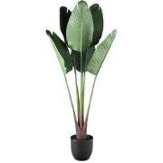 PTMD Kunstplant Reizigers Palm - 75x75x120 cm - Plastic - Groen