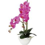 Kopu® Kunstbloem Orchidee 50 cm Paars met cement Sierpot - Phalenopsis