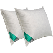 Ten Cate 100% Eendenveren Hoofdkussen 60x70 cm