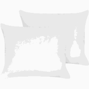 TRIGLAV - Hoofdkussen set van 2 - Wit - 50 x 60 cm - Hoog - Polyester