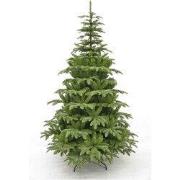 Triumph Tree Kunstkerstboom Aurora - 145x145x230 cm - PVC - Groen