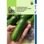 2 stuks - Snackkomkommer Iznik F1