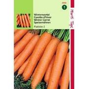 2 stuks - HT Wortelen Flakkee 2 (stomppunt)