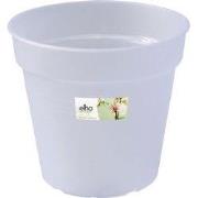 5 stuks - Green basics orchidee 13cm transparant