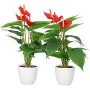 Kopu® 2 stuks Anthurium Kunstplant 40 cm - 3 bloemen - Flamingoplant