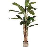 LABEL51 Musa - Groen - Kunststof - 180 cm