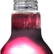 Arcadia Aquadistri infrarood warmtespot 50 watt