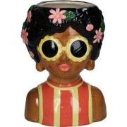 URBANJNGL - Vaas Lady Jenny' ? 22 cm