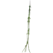 Cactus Lia hanger green 107 cm (S) kunstbloem