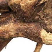 Spider wood 10-15 cm BioArt