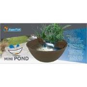 Mini pond bruin