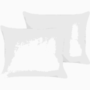 TRIGLAV - Hoofdkussen set van 2 - Wit - 50 x 60 cm - Laag - Polyester