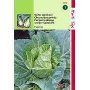 2 stuks - HT Wittekool Express, Vroege Spitse