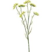 Statice spray green 67 cm Emerald