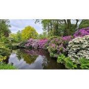 Tuinschilderij bloemenweelde 130x70